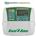 Programmatore Rain Bird RZX4-230V  outdoor