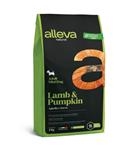 Natural Lamb & Pumpkin Adult M/M kg 12,0